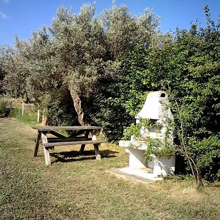 Le Mignole Bioagriturismo Κατάλυμα σε φάρμα Orsogna