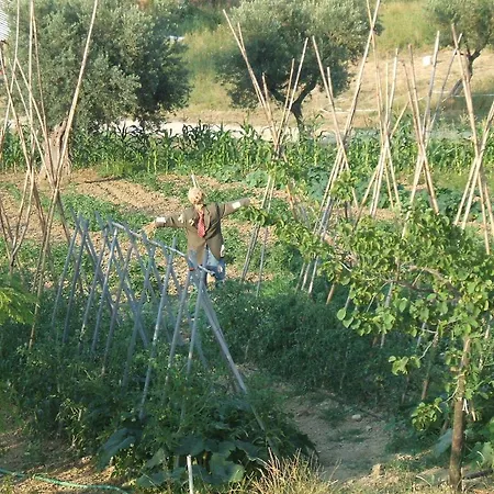 Le Mignole Bioagriturismo Lantgård Orsogna