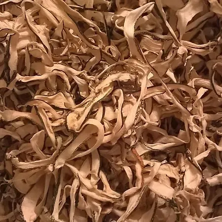 Le Mignole Bioagriturismo Κατάλυμα σε φάρμα Orsogna