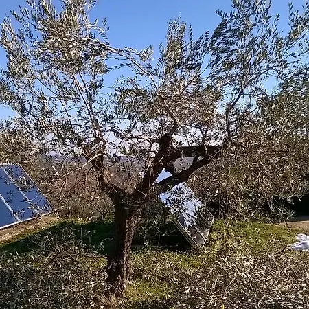 Alloggio per agriturismo Le Mignole Bioagriturismo