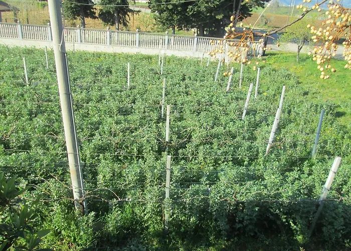 Le Mignole Bioagriturismo Çiftlik konaklama