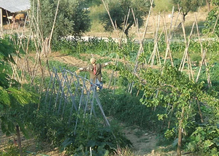 Le Mignole Bioagriturismo Alloggio per agriturismo Orsogna