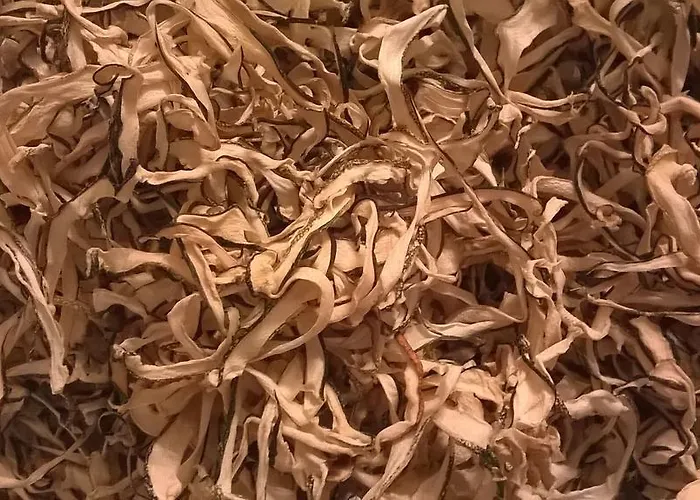 Le Mignole Bioagriturismo Çiftlik konaklama Orsogna